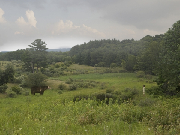 Photograph Todd Baxter Owl Scouts Bear Encounter on One Eyeland